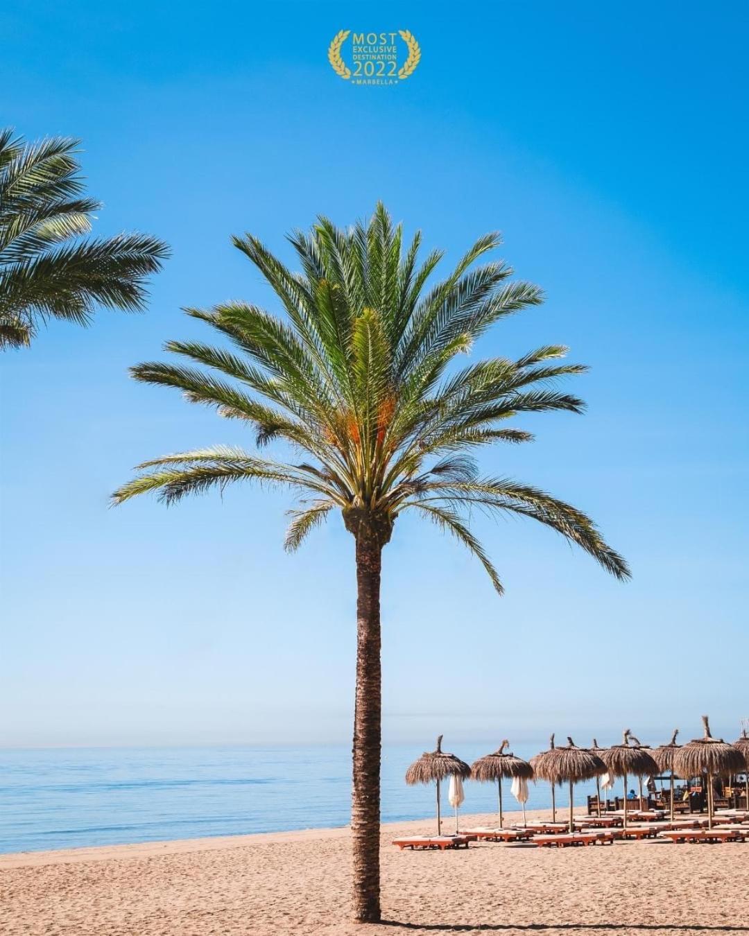 Puerto Banus Crystal Suite 马尔韦利亚 外观 照片